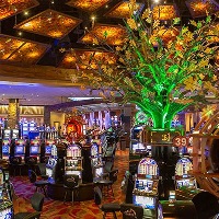 Mønter spil casino