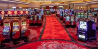 Tropicana online casino anmeldelser, bus til cache creek casino